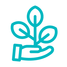 Sustainable Digitalization