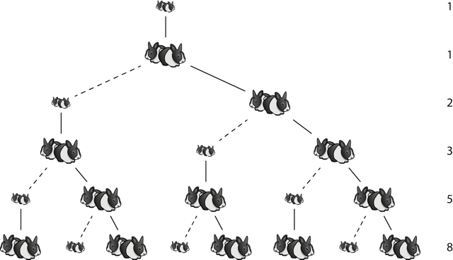 fibrabbits