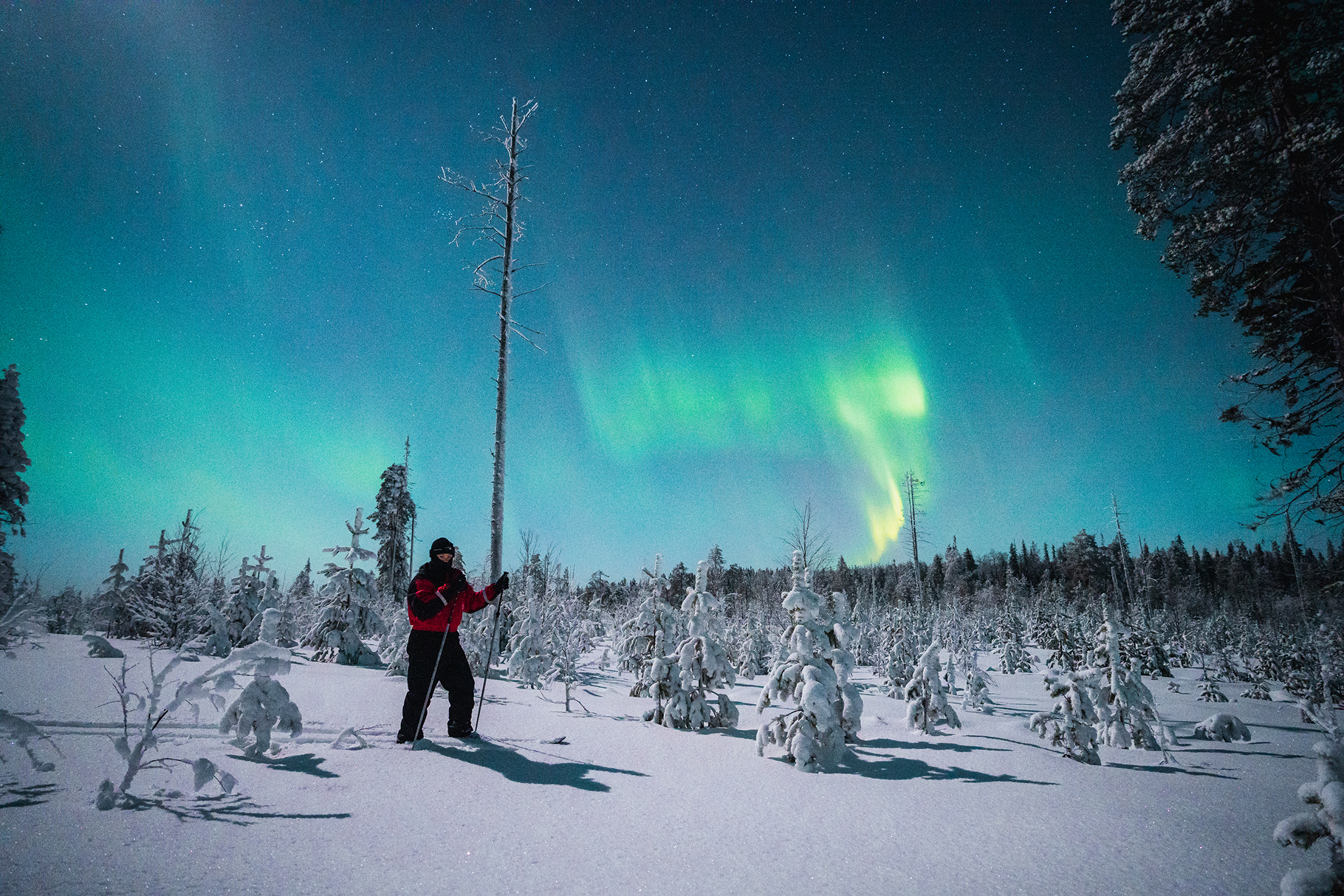 lapland-safaris-northern-lights-skiing-rovaniemi 1