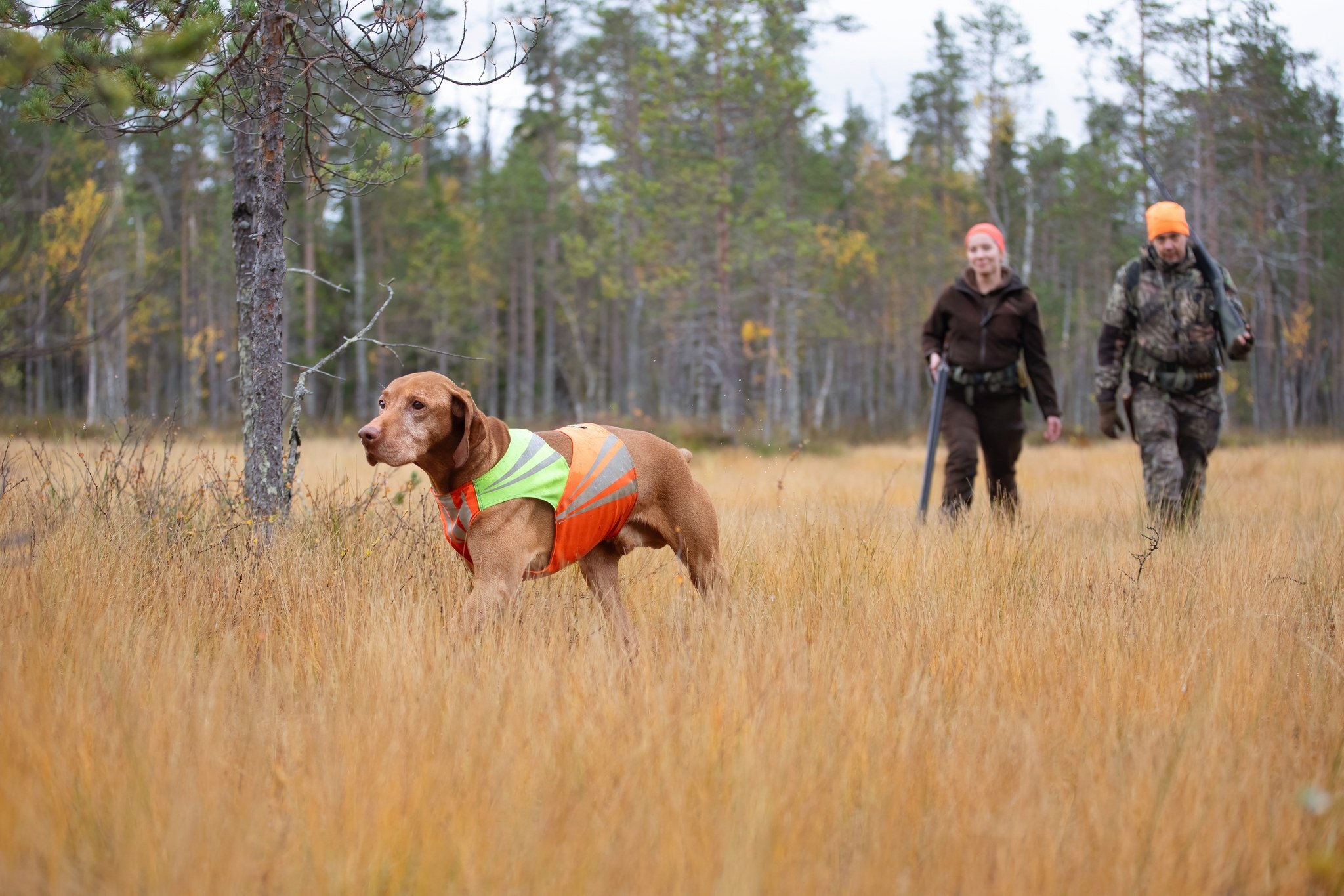 metsastys-pienriista-metsastajat-suolla-metsastyskoira-5315×3543-katri-lehtola-keksi